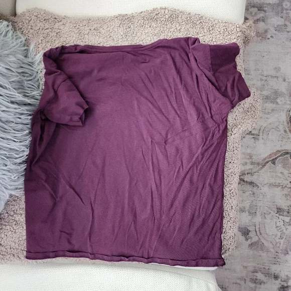 Everlane Purple Cropped Boxy Fit Tee - Picture 2 of 3
